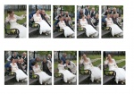 fotografovanie svadby 260